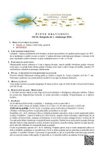 Župne obavijesti 26. 10. – 1. 11. 2026.